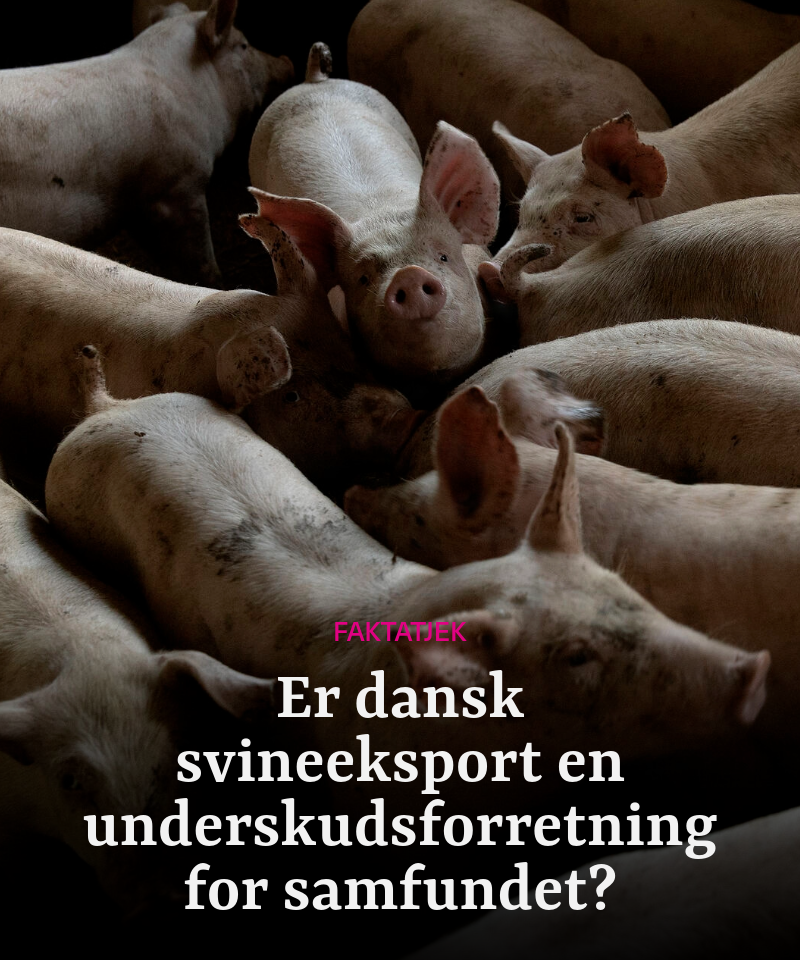 alternativ tekst