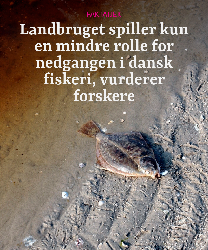 alternativ tekst