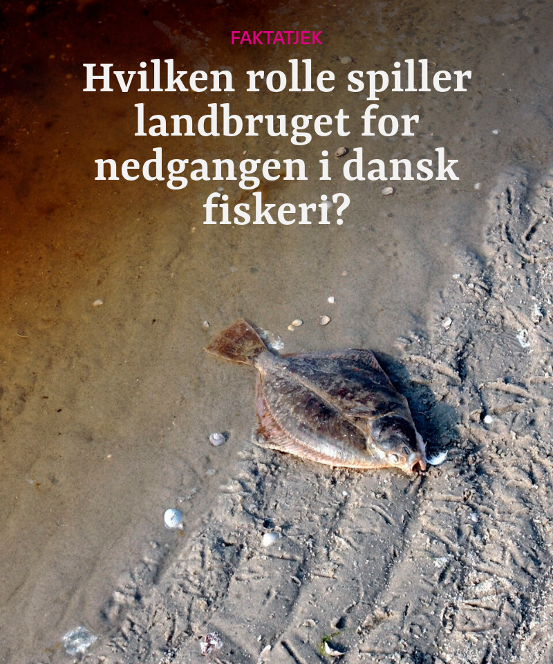 alternativ tekst