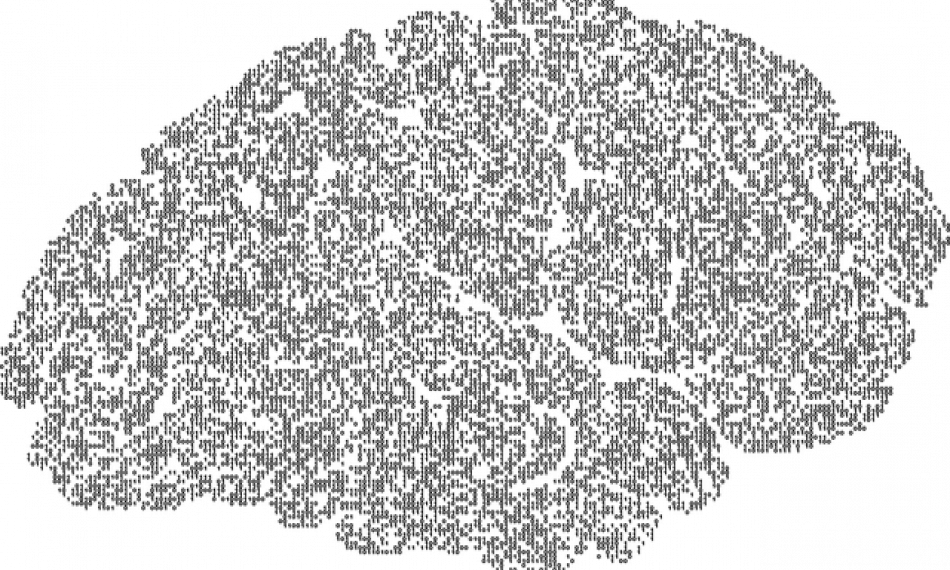 Tjekdet