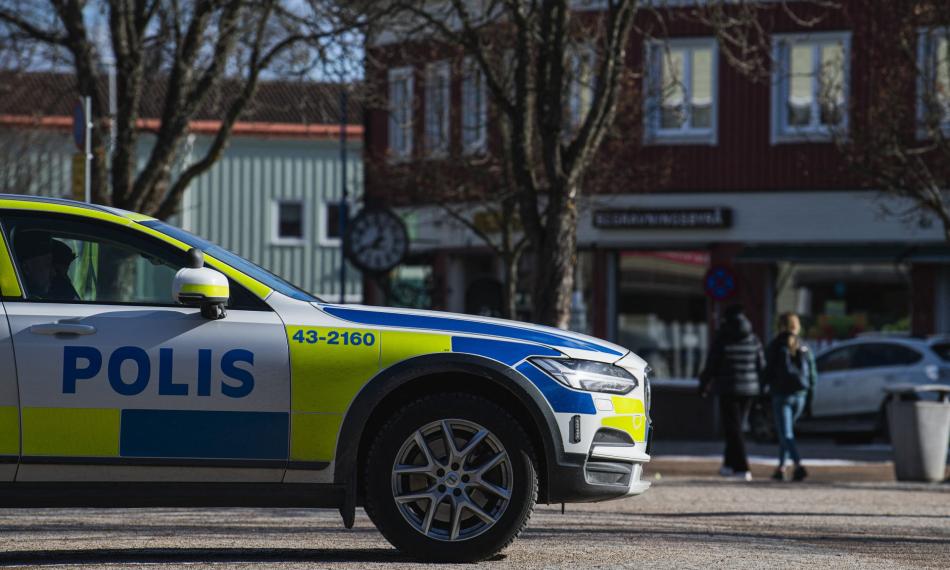 Tjekdet