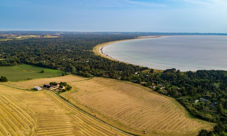 Tjekdet